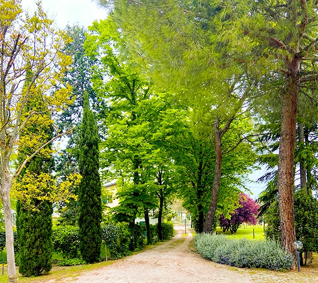 Casale del Fattore